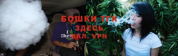 шишки Кодинск