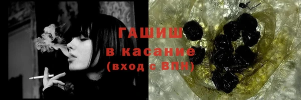 шишки Кодинск