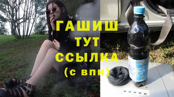 шишки Кодинск