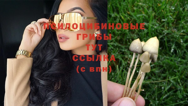 хмурый Костерёво