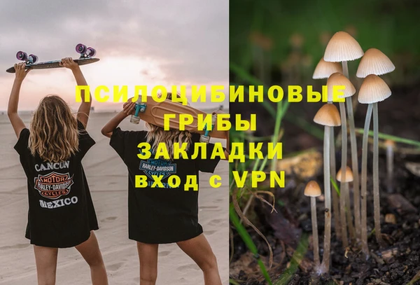 эйфоретик Корсаков