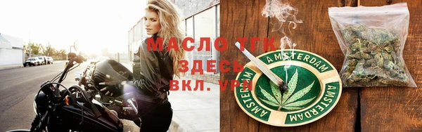 шишки Кодинск