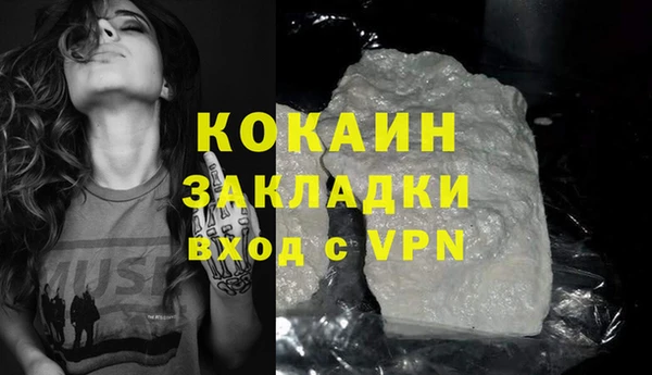 шишки Кодинск