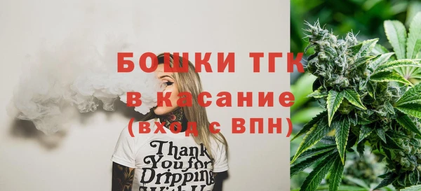 шишки Кодинск