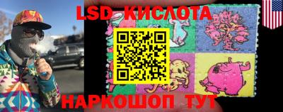 spice Донской