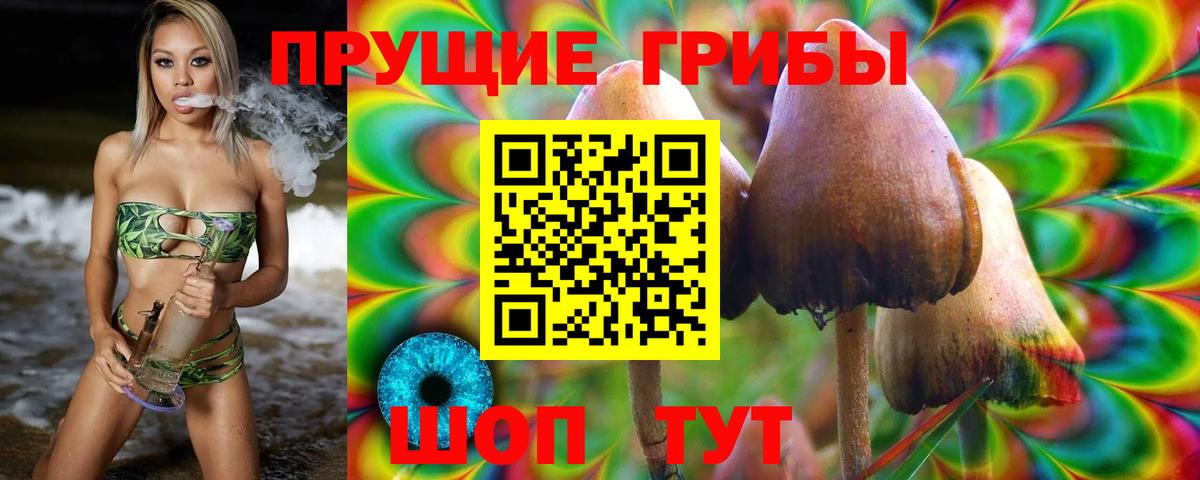 Галлюциногенные грибы GOLDEN TEACHER Солнечногорск